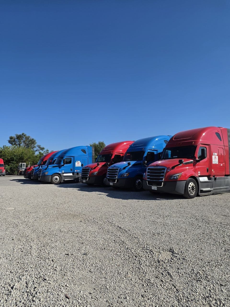 Freightage fleet lined up under a clear sky