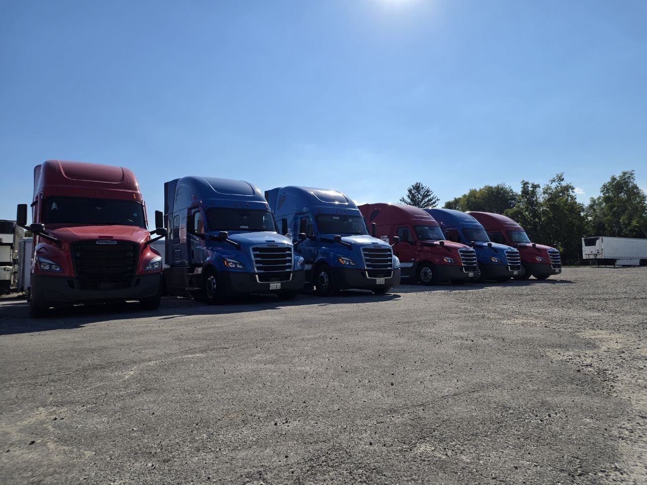 Full lineup of Freightage trucks at the yard