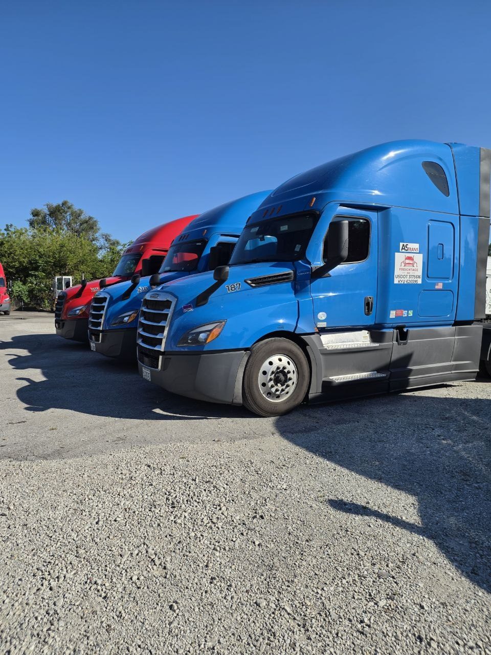 Blue Freightage tractor ready for the next load